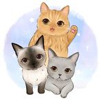 Dusty, Cloudy, & Bongbong - @dusty.cloudy - Instagram