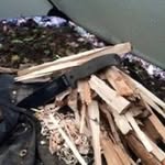 Dusty Hamilton - @dwhamilton76 - Instagram