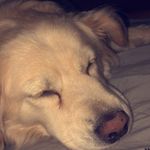 Dusty Jones - @_dusty.jones_ - Instagram