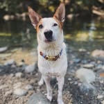 Dusty Jones (he/him) - @dustyacrejones - Instagram