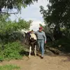 Dusty Long - @dustylong01 - TikTok