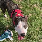 Dustyn Lyons - @dustynlyons - Instagram