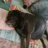 Dusty Walker - @dusty.walker1 - TikTok