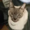 Dusty Walker - @dusty.walker - TikTok