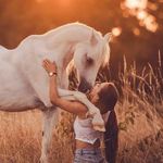 Dutch best horse 🐴 - @dutch.best.horse - Instagram