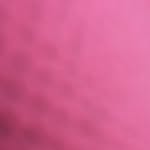Onvolgennn - @dutchbestiesxoxo - Instagram