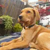 Dutch Simpson - @keelysimpson0 - TikTok