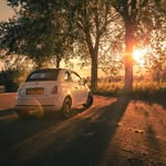@dutch_white_500c - Instagram