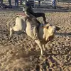 user6830744421602 - @carterduvall1 - TikTok