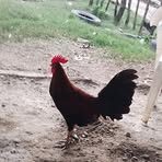 Duvan Diaz - Facebook