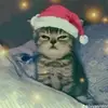 Duvan Diaz - @duvan.diaz626 - TikTok