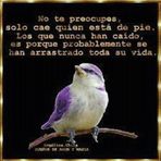 Duvan Gonzalez - Facebook
