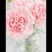 Duvis Lopez - Facebook