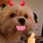Duwan Johnson - @duwanj - Instagram