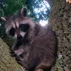 Duwayne Cheever - @duwayne.cheever - TikTok