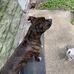 Duwayne Taylor - Facebook