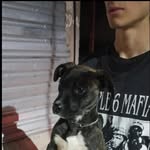 Cristian Bsd - @beck_duy - Instagram