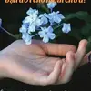 duyên phận - @d.p330 - TikTok