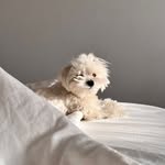 Duyen Phan - @ky.duyenn - Instagram