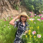 Duyen Vu - @duyenvu50 - Instagram
