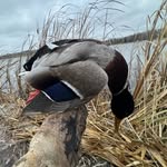 Dwain Smith Jr. - @dwainsmithjr_ - Instagram