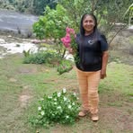 Daina Bailey - Facebook