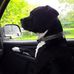 Dwayne Acree - Facebook