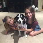 Dwayne Armstrong - @dwayne.armstrong - Instagram