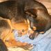 Dwayne Barlow - Facebook