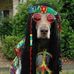 Dwayne Bartlett - Facebook