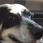Dwayne Bartlett - @dwaynedevontethe3 - Instagram