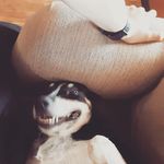 Dwayne Bartlett - @dwaynebartlett44 - Instagram
