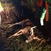 Dwayne Benoit - Facebook