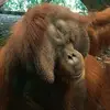 Dwaynethebest - @dwaynethebest8 - TikTok