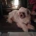Dwayne Blankenship - Facebook