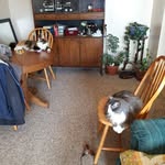 Dwayne Borden - @dwayneborden - Instagram