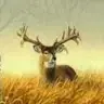 Dwayne Broussard - @bundyvp51 - TikTok
