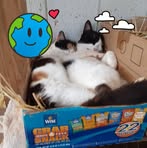 Dwayne Caldwell - Facebook