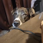 Dwayne Case - @dwayne.case - Instagram