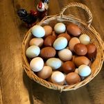 Dwayne Casteel - @4thquarterfarms - Instagram