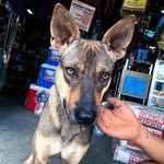 Dhrwn F. De Chavez - @dwaynedechavez05 - Instagram