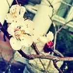 Dwayne Chavez - @cadatope - Instagram