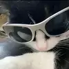 PAUL - @dwayne.john_chavez - TikTok