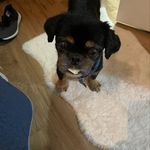 Dwayne Cherry - @dwayncherry - Instagram