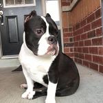 Dwayne Christie - @christie.dwayne - Instagram