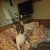 Dwayne Clifford - Facebook