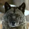 Dwayne Connor - @dwayne.connor - TikTok