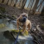 Dwayne Connors - Facebook