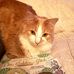 Dwayne Conrad - Facebook