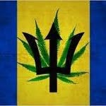 Dwayne Corbin - @bajanblackmarket - Instagram